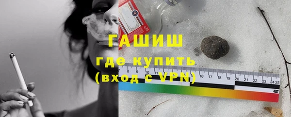 прущие грибы Михайлов
