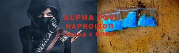 прущие грибы Михайлов