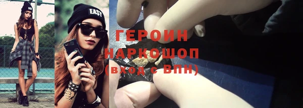 прущие грибы Михайлов