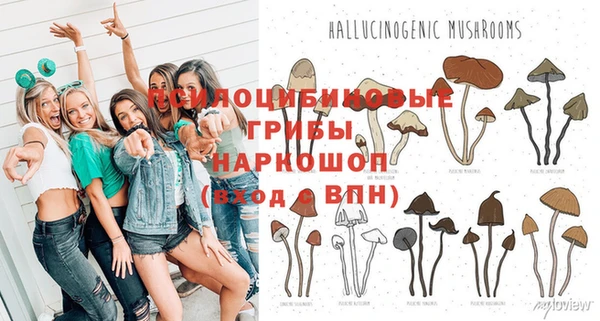 тгк Абаза