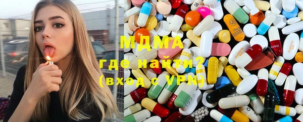 прущие грибы Михайлов
