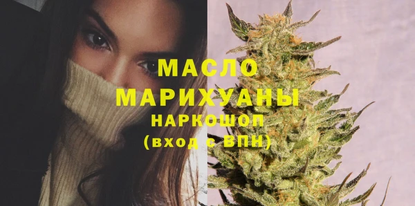 тгк Абаза