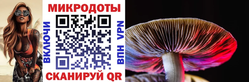 Псилоцибиновые грибы Psilocybine cubensis  где купить наркотик  Горячеводский 